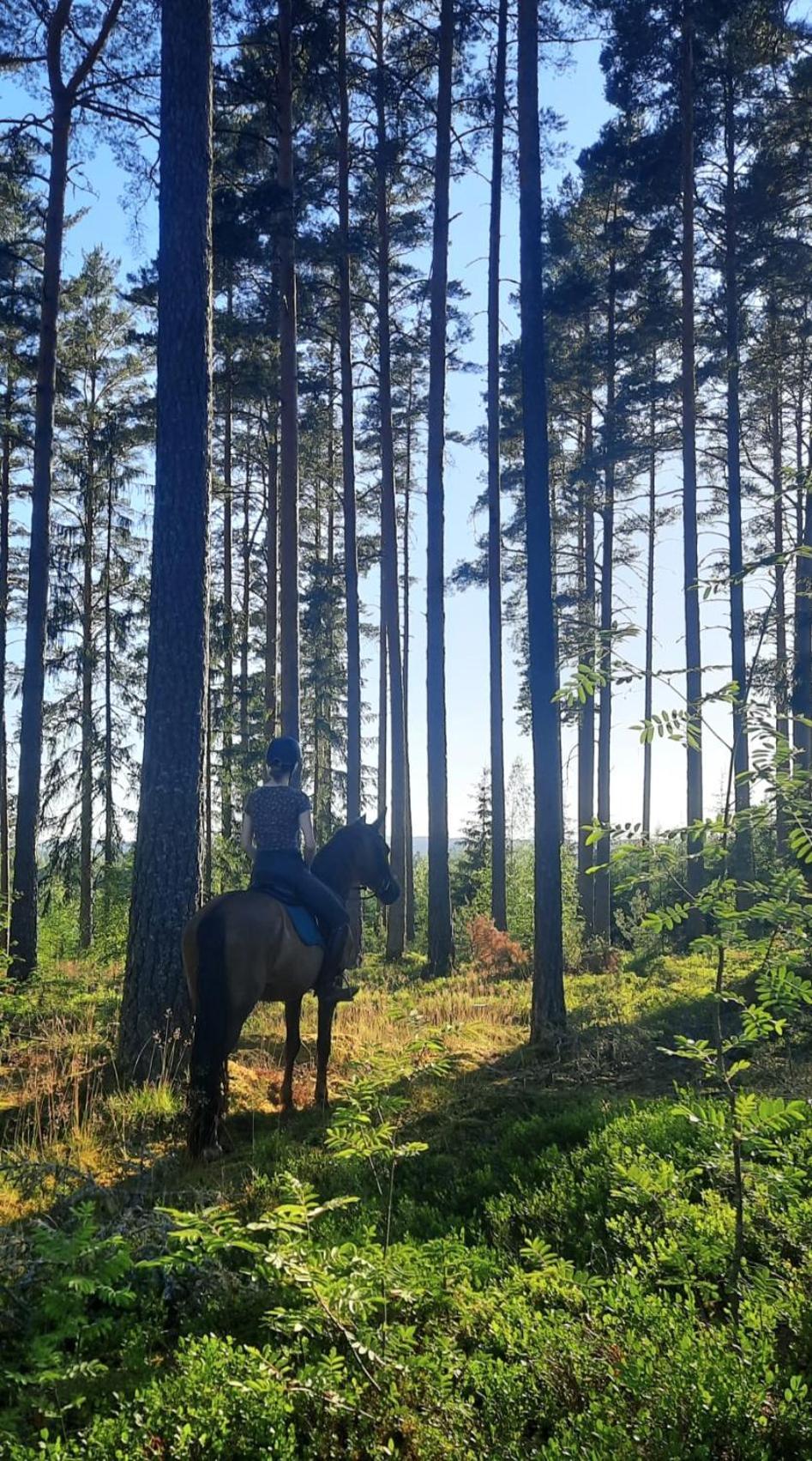 B&B Klaraelvsbanan Deje Esterno foto