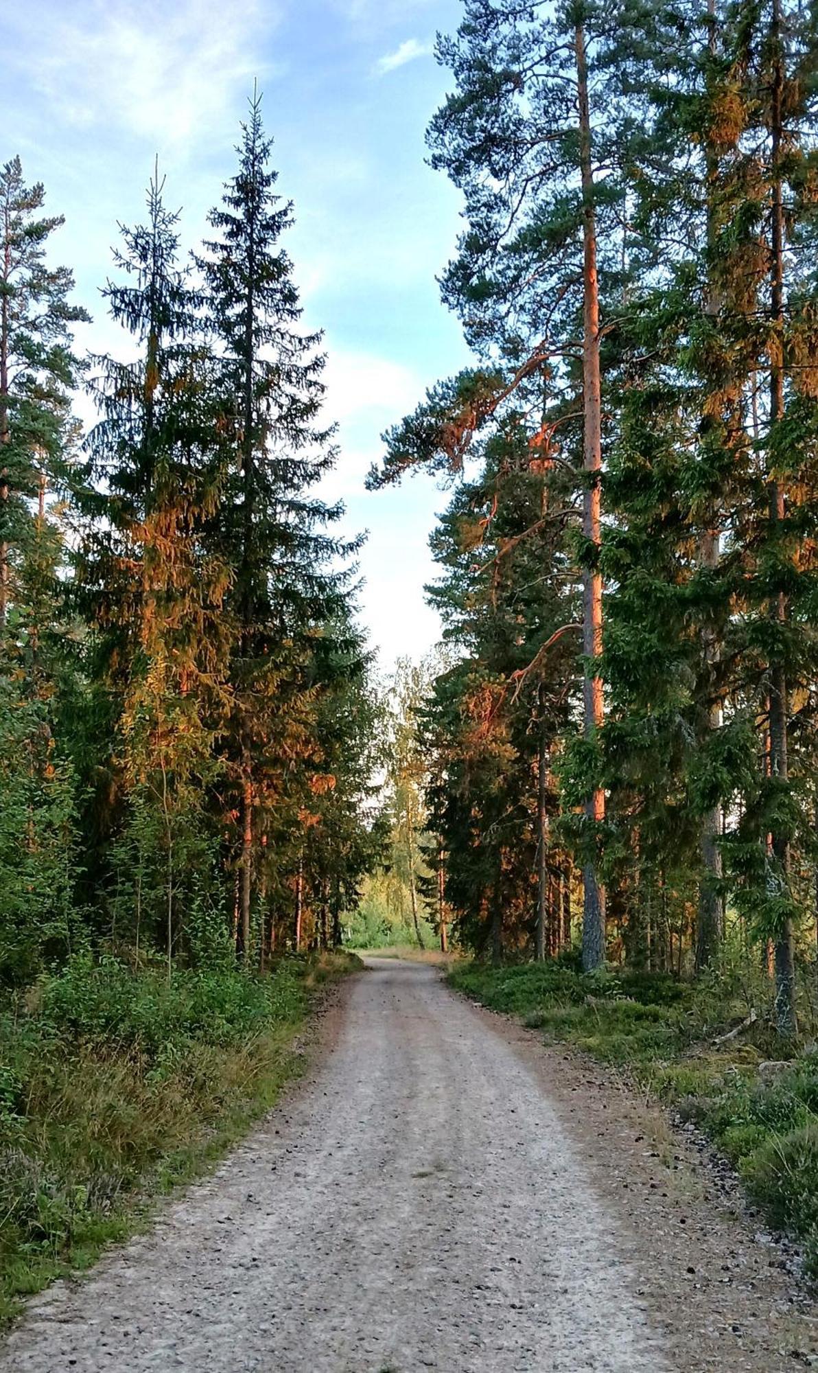 B&B Klaraelvsbanan Deje Esterno foto